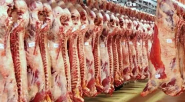 أسعار اللحوم اليوم الاثنين: الكندوز يصل 406 جنيهات